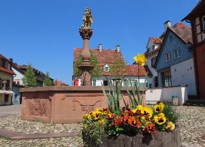 Stockbrunnen Frühling