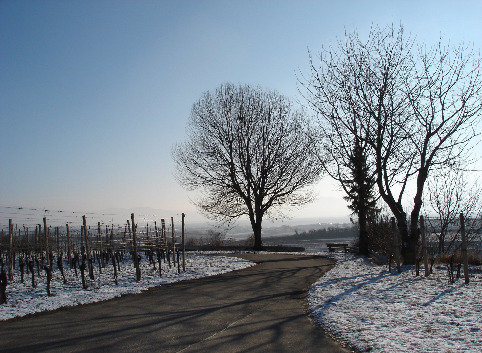 Ansicht Merdingen