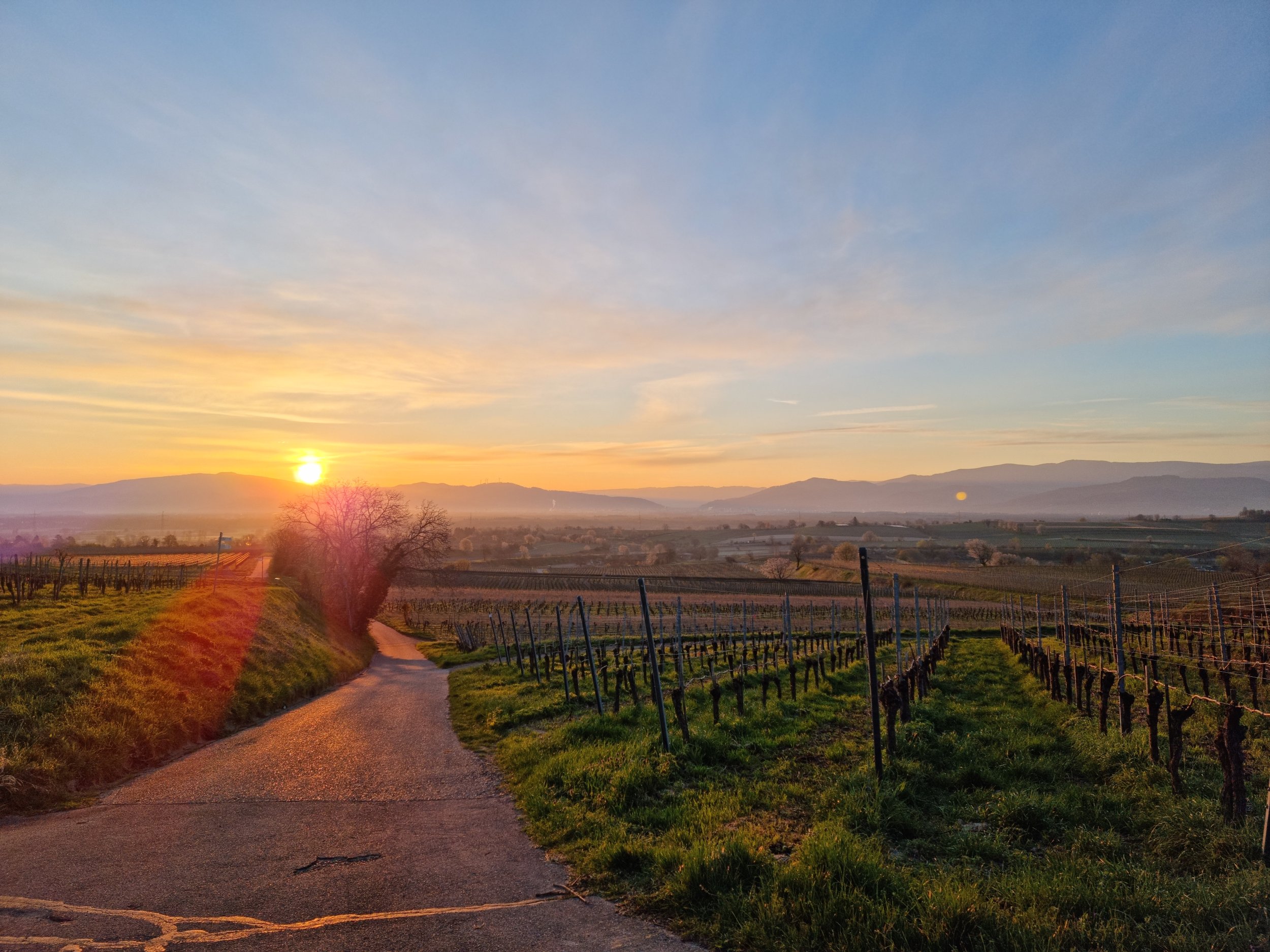 Sonnenaufgang Tuniberg